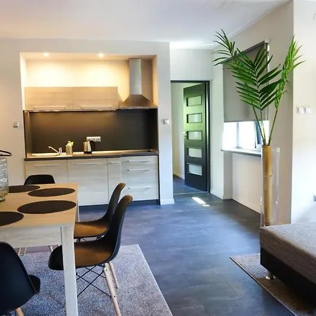 Apartamenty Milenium Appartement Ustroń
